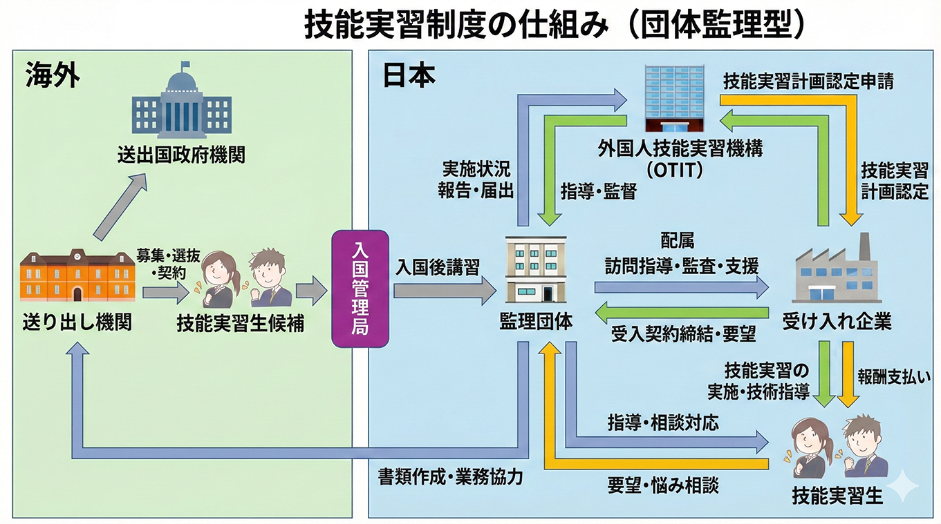 技能実習生の受け入れフロー図